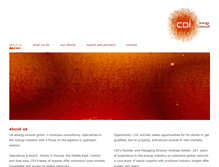 Tablet Screenshot of cdi-energy.com
